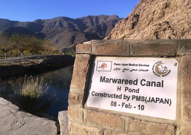 Dr. Nakamura’s projects