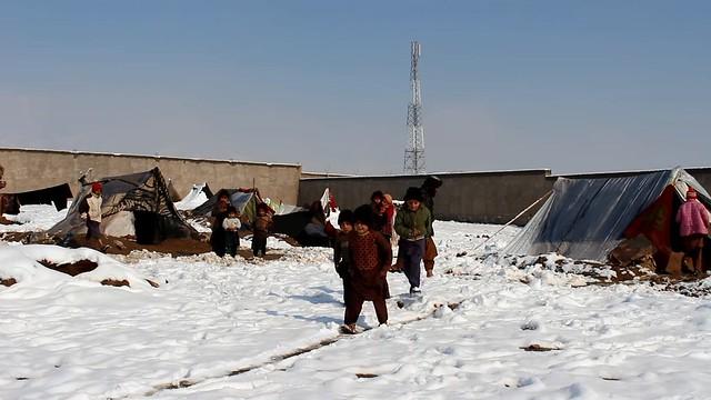 Herat displaced people