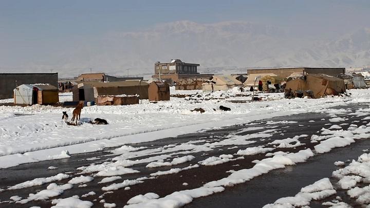 Our children, women may die of cold: Herat IDPs