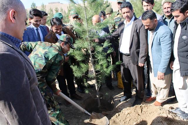 Sar-i-Pul agriculture