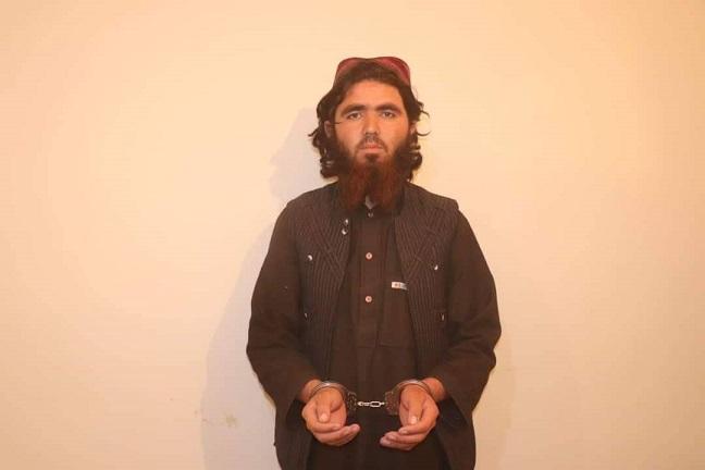 منابع در فارياب و دايکندى از باز داشت پنج متهم به قضاياى مختلف خبر مى دهند