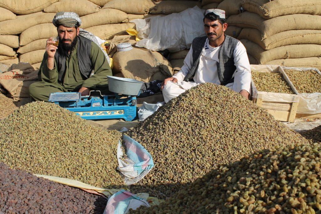 Raisin exports reduced by 50pc, say Qaisar gardeners