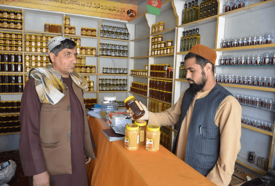 Kandahar honey harvest reaches 16 tons this year