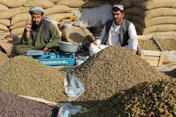 Kandahar to have agriculture complex on 500 acres