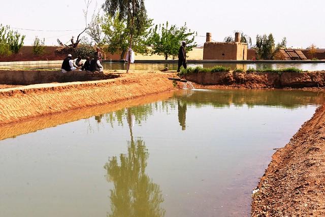 Kandahar fish farm