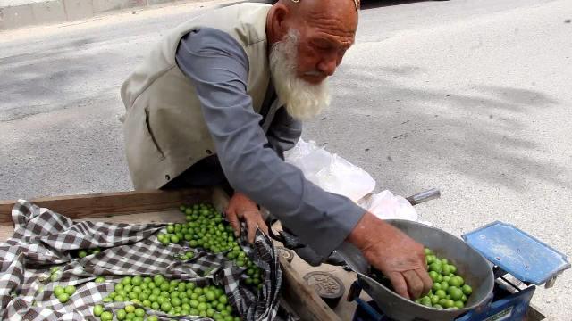 Kandahar elderly man denies serving in army