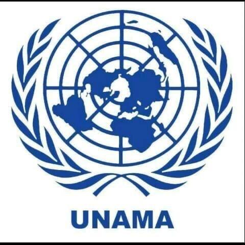 UN special envoy stresses coordinated efforts to fight  Covid-19