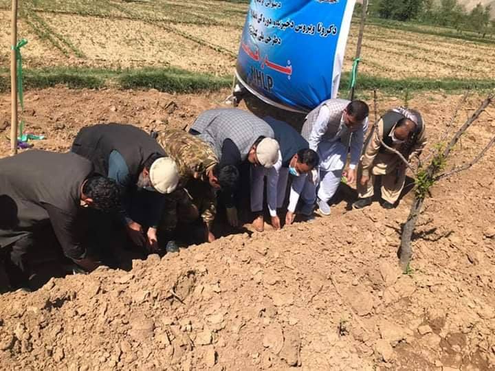 300 agriculture projects being implemented in Logar