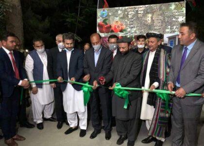 Balkh ghee plant restarts production after 3 decades