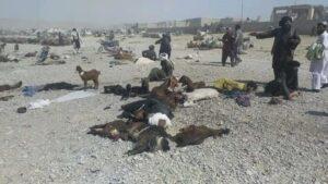 Punish Sangin attack perpetrators, Senate tells govt