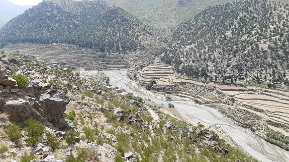 Own bomb kills 9 Taliban in Nangarhar
