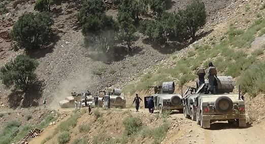 در سیاه گرد پروان ۲۳ تن کشته و زخمی شده اند