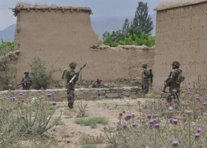 15 Taliban, government forces killed and wounded