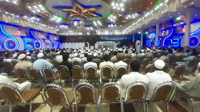 Slaughtered chickens