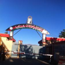 چهار عضو يک خانواده در کاپيسا کشته و زخمى شدند