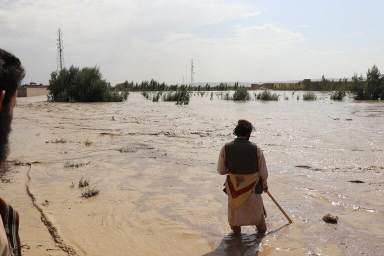 12 killed as flash floods wreak havoc in Herat
