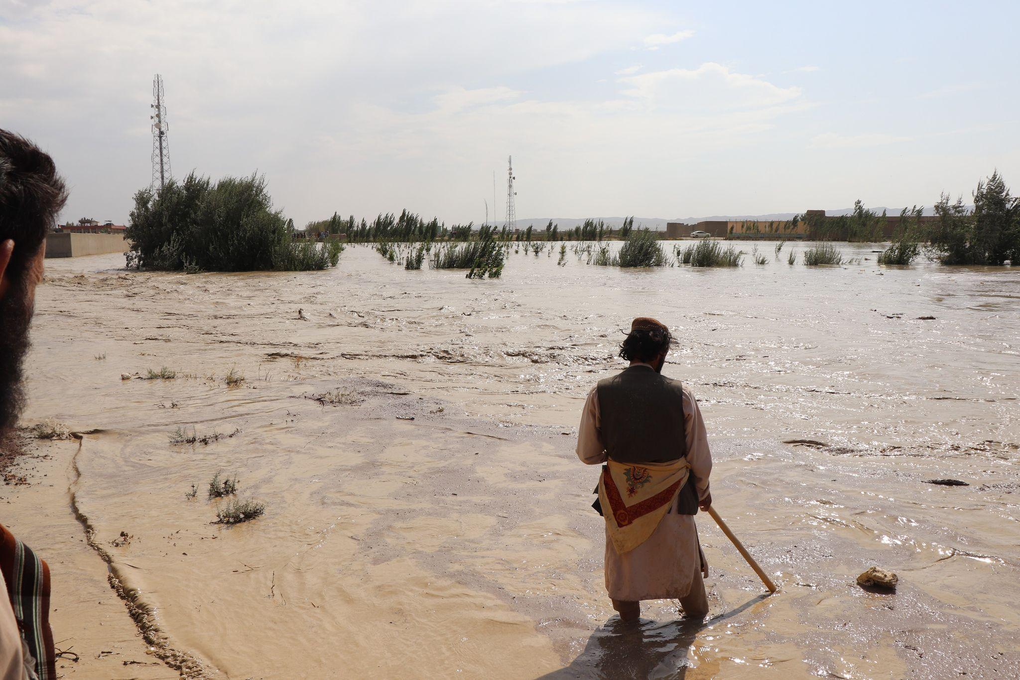 سیلاب ها،پکتیکا