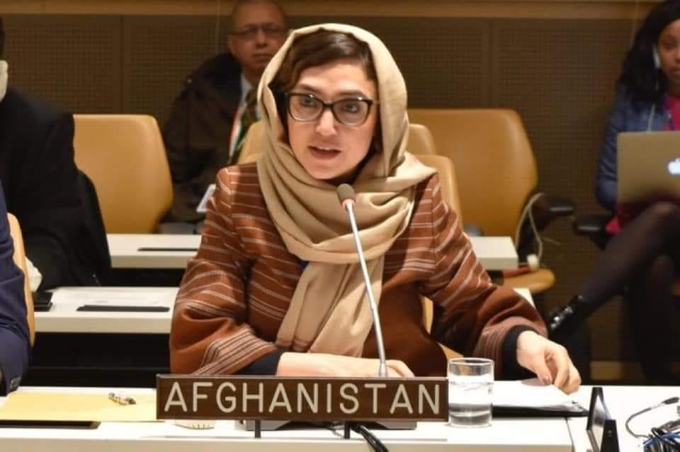 Afghans need world’s help more than ever: Raz