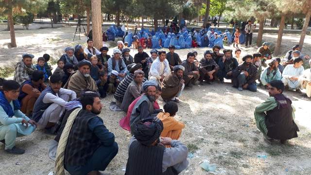 بیجا شده گان