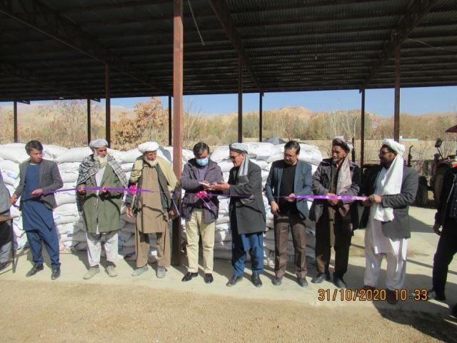 تخم  های اصلاح شده زراعتی