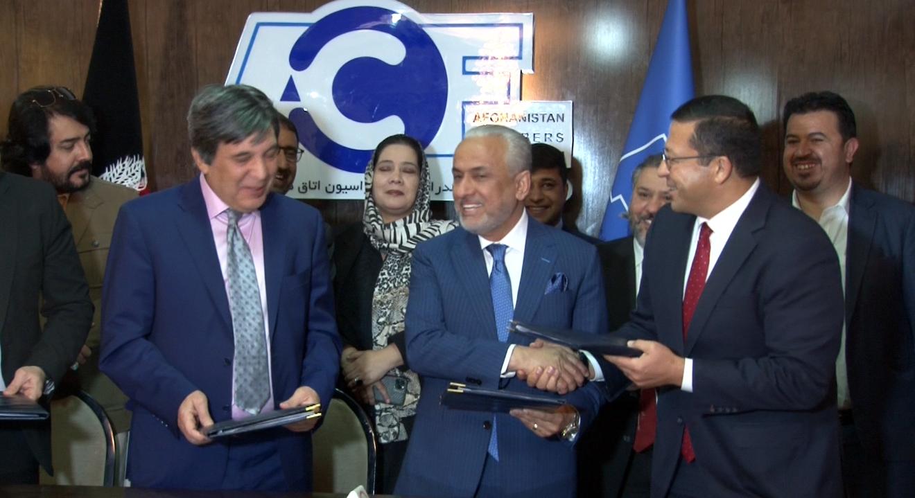 محمود کرزی،کابل