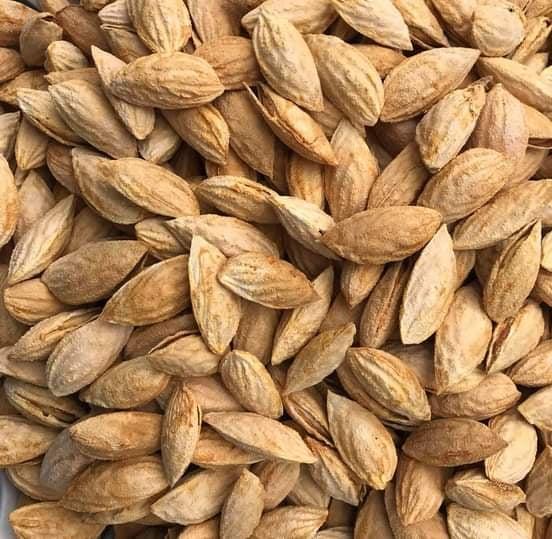 Almond price down by 50pc in Daikundi due to coronavirus