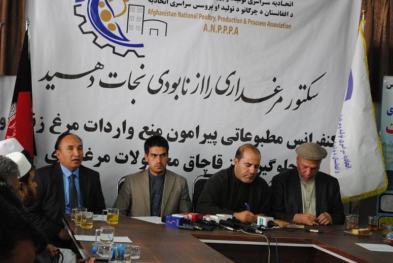 مرغداری,افغانستان