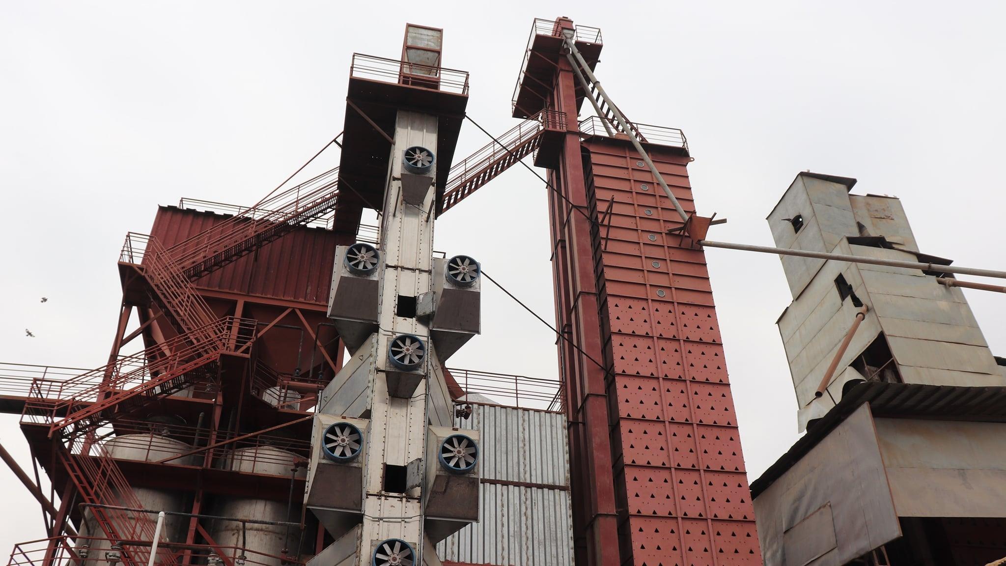 فاریکه برنج،کندز