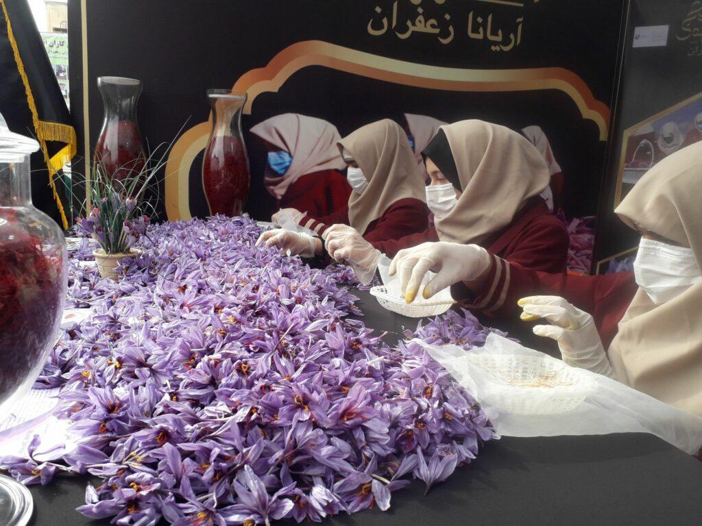 ششمین جشنوارۀ ملی گل زعفران در هرات برگزار شد