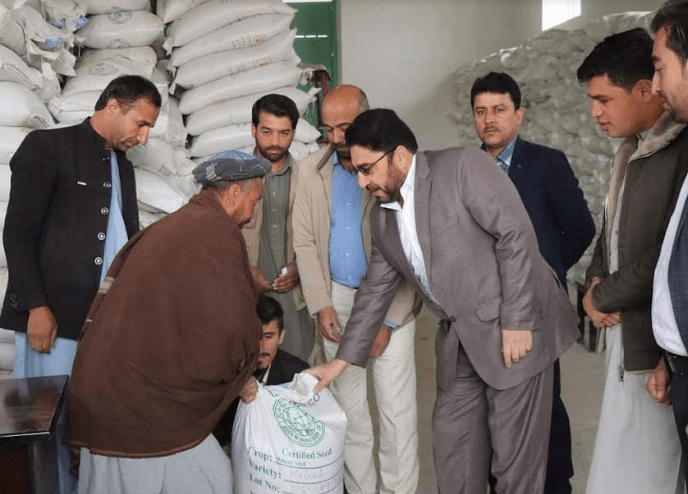 تخم ګندم,سمنگان