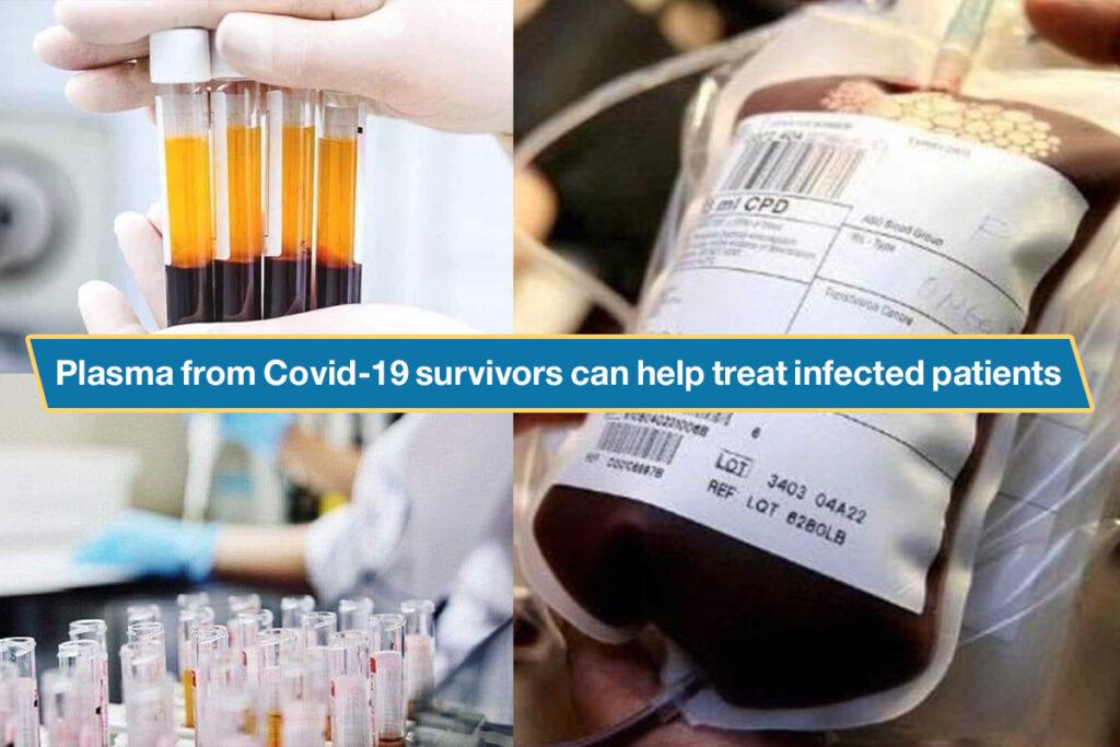 Plasma from Covid-19 survivors can help treat infected patients