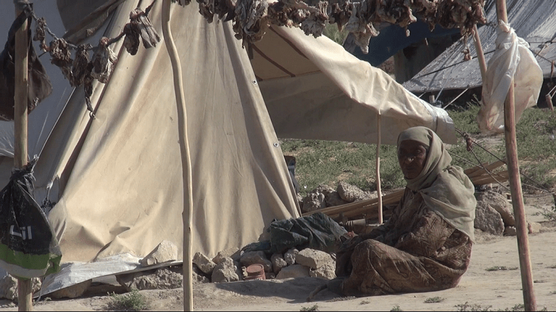 جوگى¬هاى جوزجان: براى حل مشکلات ما اقدام شود