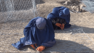 Daily wager mother saves her minor daughter from forced marriage