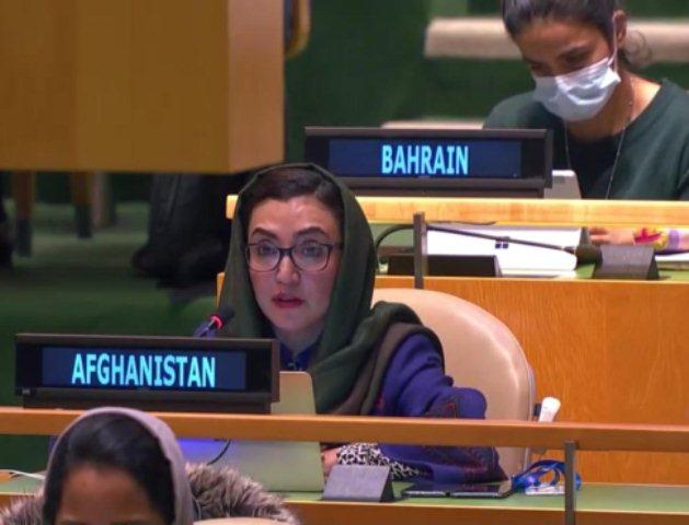 UN adopts resolution on Afghanistan’s situation