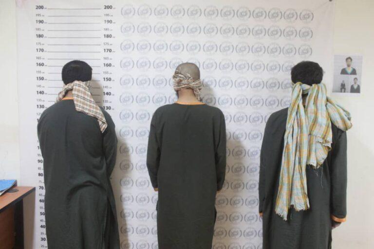 امنيت ملى نيمروز از بازداشت سه تن از افراد کليدى “القاعده” خبر داد