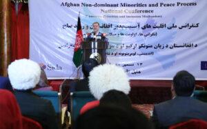 Peace talks sans minorities will be symbolic: Survey