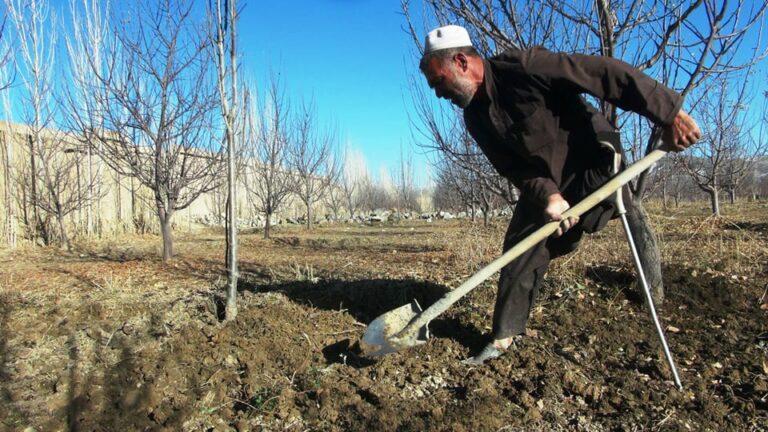 پر پښه معلول خلیل: سوله مې ارمان دی، څو بل څوک زما په څېر نيمګړى نه شي