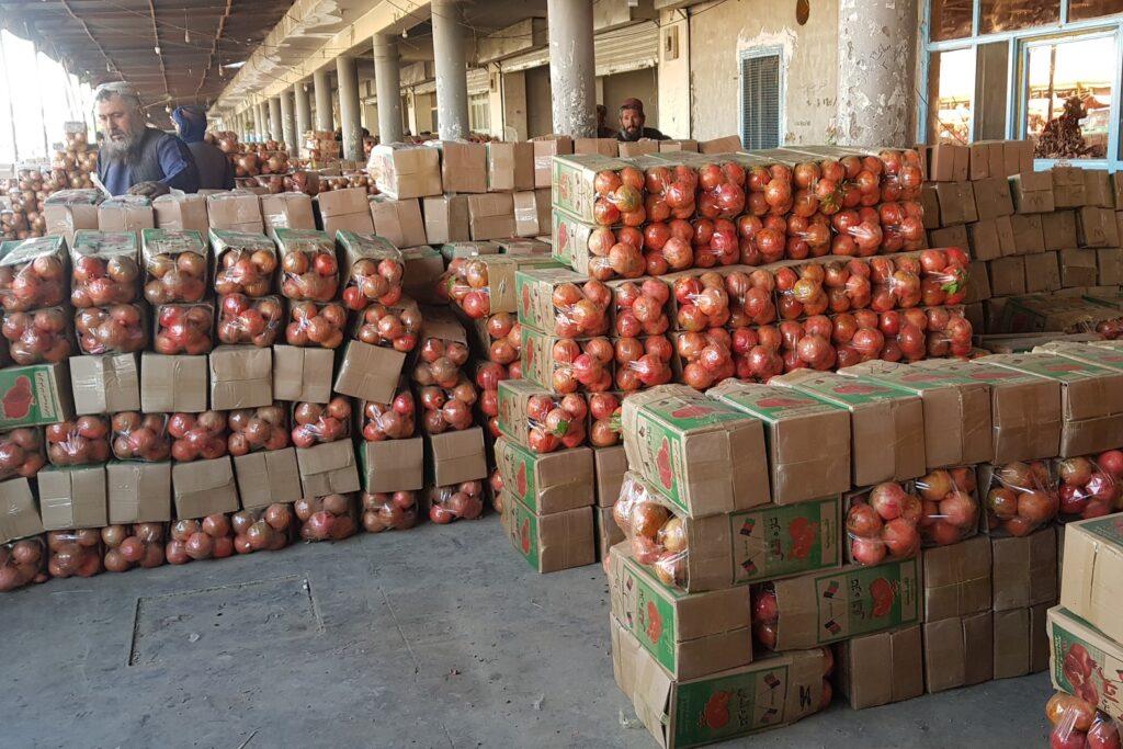 Kandahar exports pomegranates worth $8m this year