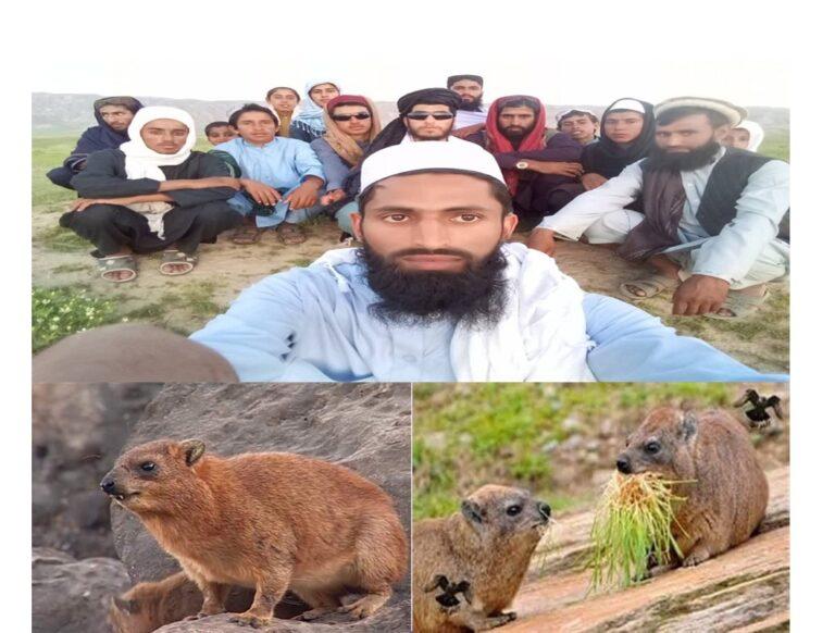 ګجر: کرونا ناروغي د یوه واښه خوړونکي حیوان له غوښې په استفادې درملنه کوو