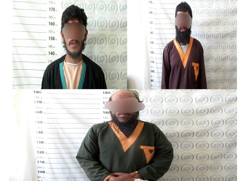 Commanders among 4 Taliban arrested in Helmand