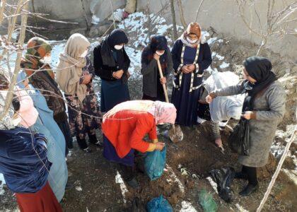 Herat village women on path to economic self-reliance