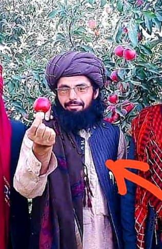 د فاریاب د المار ولسوالۍ لپاره د طالبانو ولسوال وژل شوی
