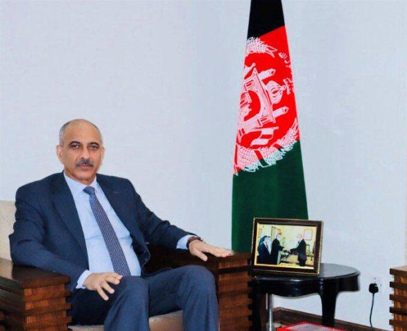 Ceasefire a must for cut in violence, says Alikhel