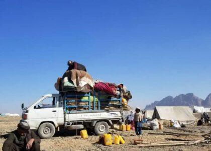 Above 20,000 Kandahar families flee clashes in 4 months