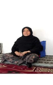 “اگر دولت و طالبان، ارادۀ ختم جنگ را داشته باشند، گليم جنگ به زودى برچيده ميشود”