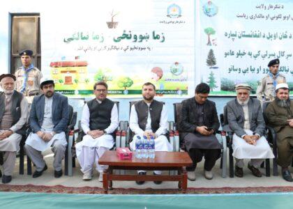 Tree plantation campaign starts in Nangarhar schools