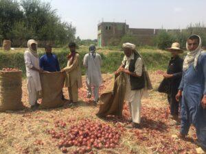 Nangarhar farmers demand rise in import duty on vegetables