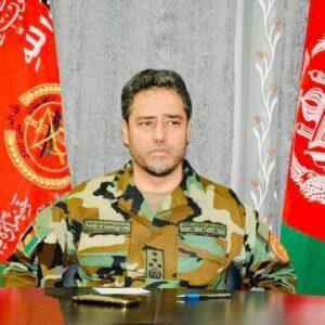 Gen. Zia appointed acting defence minister