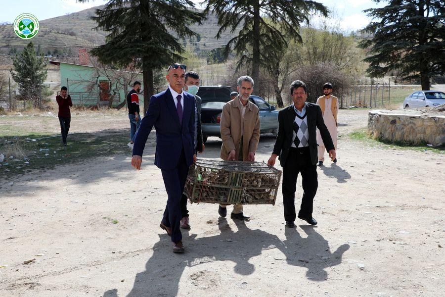 فروشگاه گوشت «افغان مارت» به دلیل فروش گوشت پرندگان مسدود شد