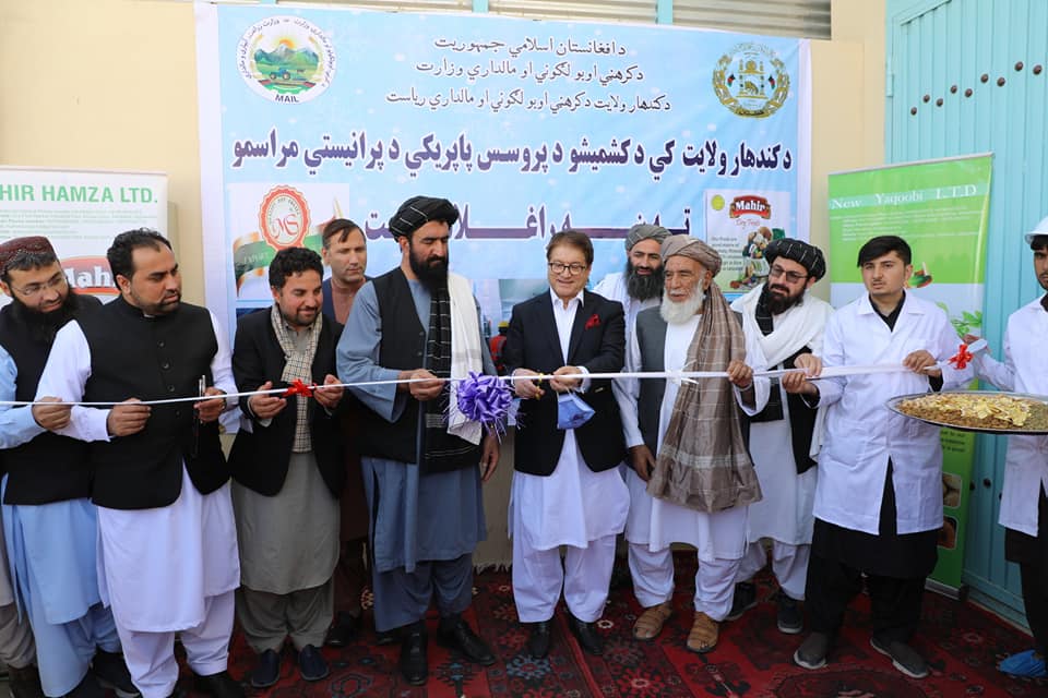 Raisin-processing factory inaugurated in KandaharP